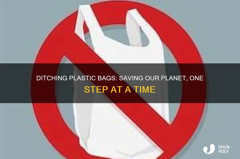 why ban plastic bags