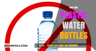 Ditching Plastic Bottles: Saving Oceans, Health, and Our Future