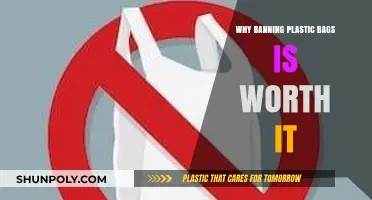 Banning Plastic Bags: A Sustainable Step for Our Planet's Future