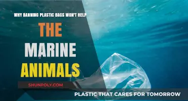 Plastic Bag Bans: Why Marine Life Still Faces Grave Dangers