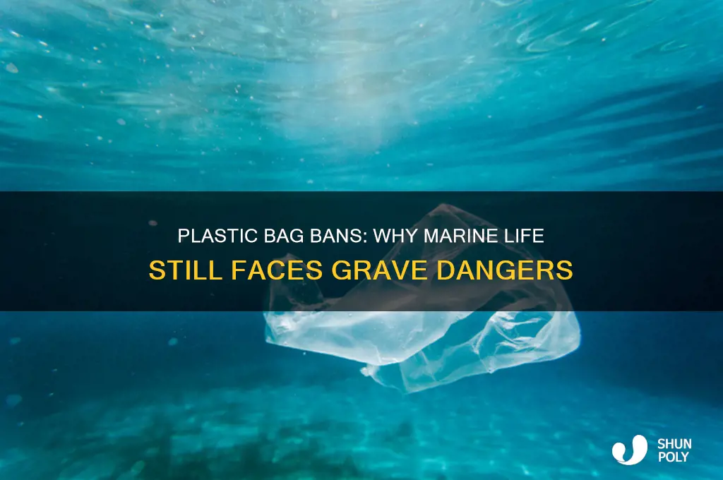 why banning plastic bags won