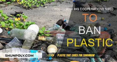 Large Corporations: Leading the Way to Ban Plastic