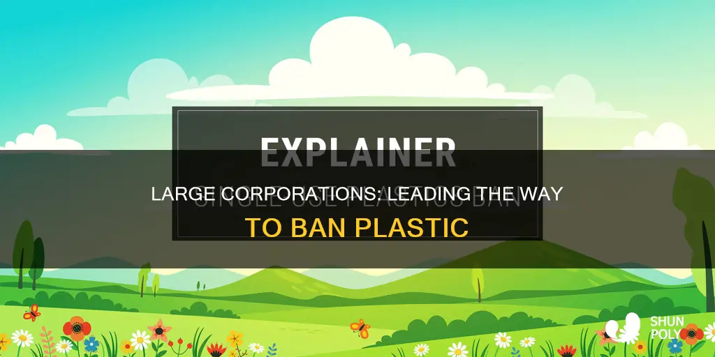 why big cooperations need to ban plastic
