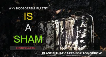 The Greenwashing of Biodegradable Plastics: A Sham Exposed