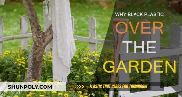 Black Plastic: Garden's Best Friend