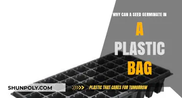 How Seeds Thrive in Plastic Bags: Unlocking Germination Secrets