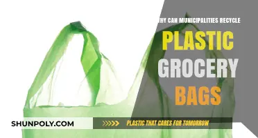 Recycling Plastic Grocery Bags: How Municipalities Can Lead the Way