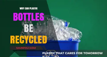 Recycling Plastic Bottles: Understanding Their Eco-Friendly Reusability