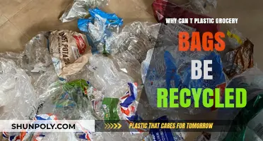 Why Plastic Grocery Bags Can't Be Recycled: Unraveling the Dilemma