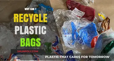 The Hidden Challenges of Recycling Plastic Bags: What You Need to Know