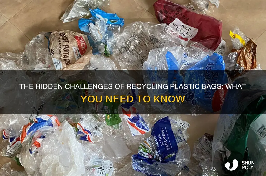 why can t recycle plastic bags