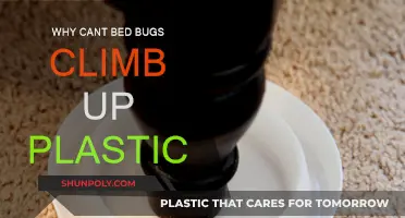 Plastic Barricades: Bed Bugs' Unclimbable Foe