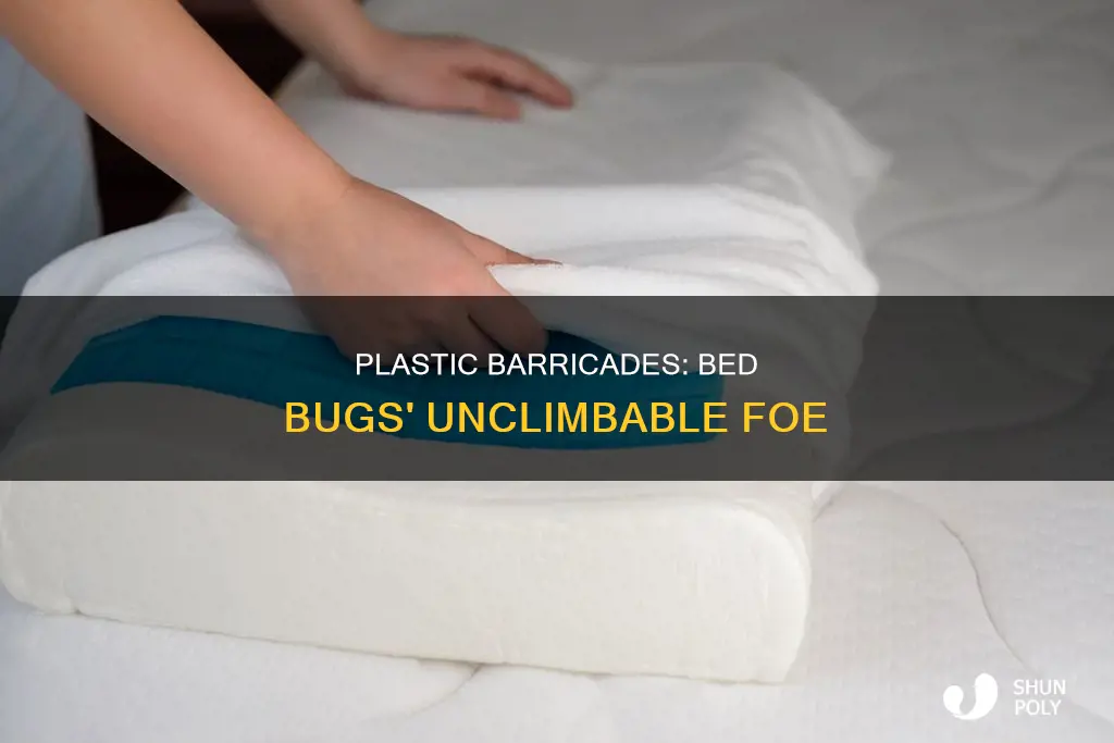 why cant bed bugs climb up plastic