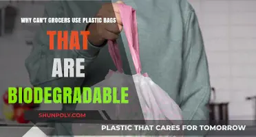 Biodegradable Plastic Bags: Why Grocers Can't Make the Switch Yet