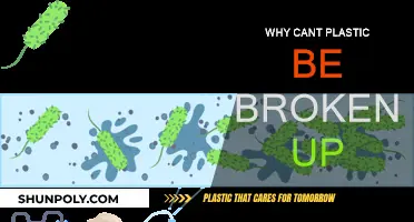 Plastic's Indestructible Nature: Why Can't We Break It?