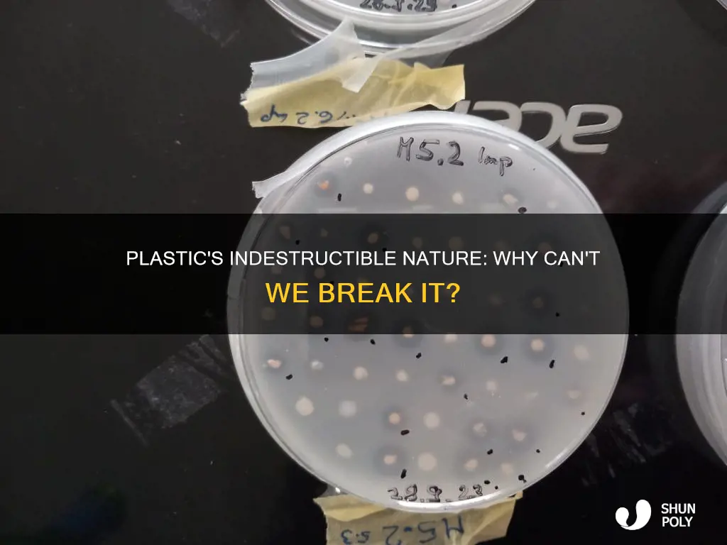 why cant plastic be broken up