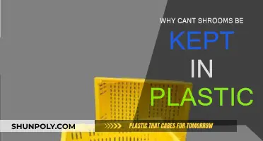 Shrooms and Plastic: A Harmful Mix