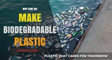 The Biodegradable Plastic Paradox: Challenges and Unsolved Mysteries