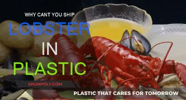 Shipping Lobsters: Plastic Packaging Problems