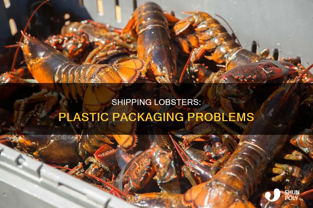 why cant you ship lobsters in plastic