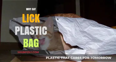 Why Do Cats Lick Plastic Bags? Uncovering Feline Curiosity