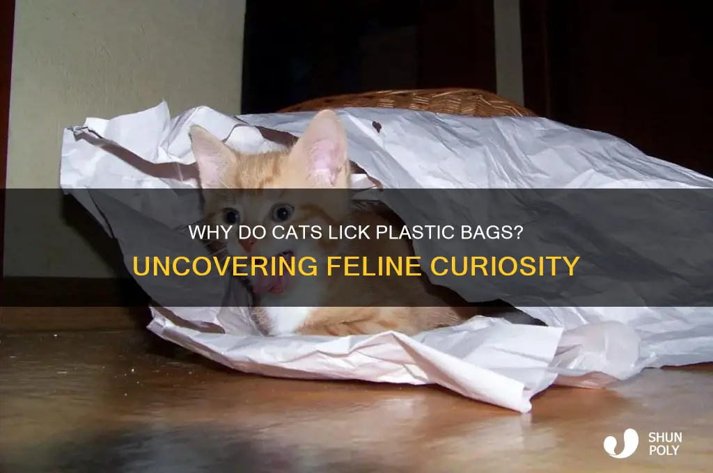 why cat lick plastic bag