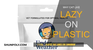 The Mystery of Cats and Plastic: Why the Attraction?