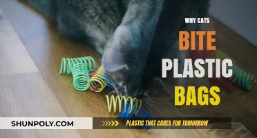Why Cats Bite Plastic Bags: Unraveling Feline Fascination with Crinkly Prey