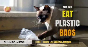 Why Do Cats Eat Plastic Bags? Uncovering the Risky Feline Habit