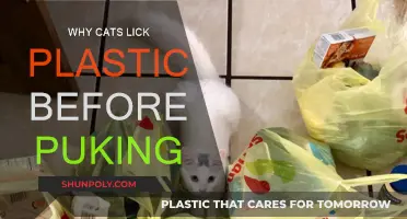 Cats' Weird Plastic-Licking Habit: Why They Do It
