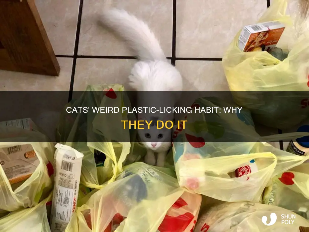 why cats lick plastic before puking