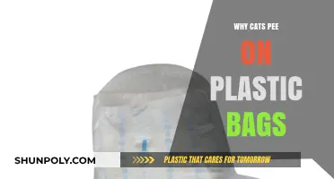 Why Cats Pee on Plastic Bags: Unraveling Feline Behavior