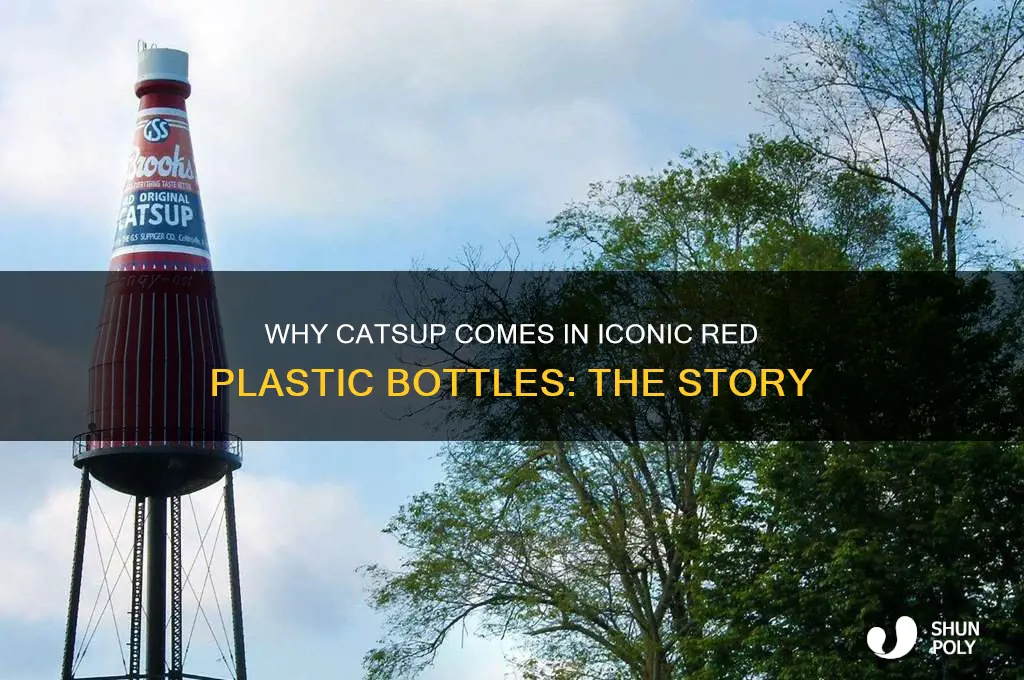 why catsup in sold red plastic bottle