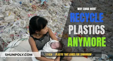 China's Plastic Waste Ban: Impact and Implications
