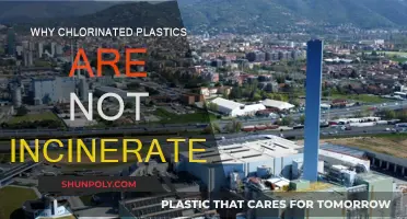Incineration of Chlorinated Plastics: Why It's a No-Go