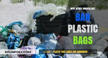 Reevaluating Plastic Bag Bans: Environmental and Economic Consequences for Cities