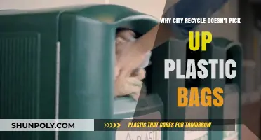 Why Plastic Bags Are Excluded from City Recycling Programs