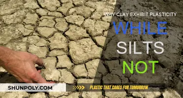 Clay's Plasticity: Why Silt Doesn't Measure Up