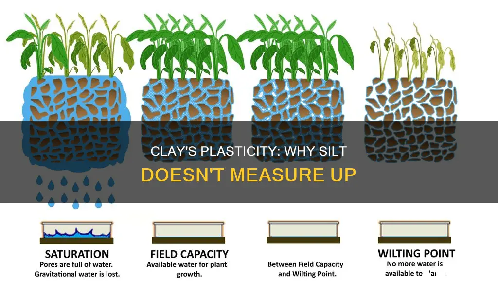 why clay exhibit plasticity while silts not