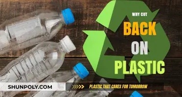 Reducing Plastic Use: Simple Steps for a Healthier Planet and Future