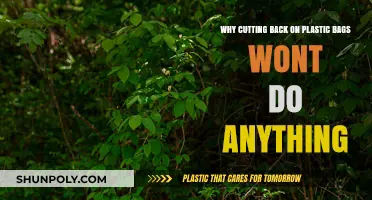 Reducing Plastic Bags Alone Falls Short: Why It’s Not Enough