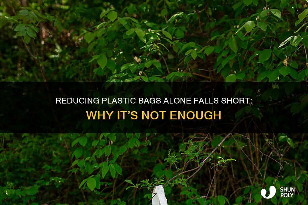 why cutting back on plastic bags wont do anything