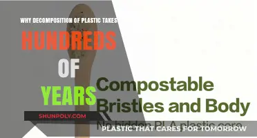 Unraveling the Mystery: Why Plastic Decomposition Takes Centuries