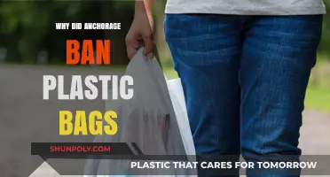 Anchorage's Plastic Bag Ban: Environmental Impact and Community Response