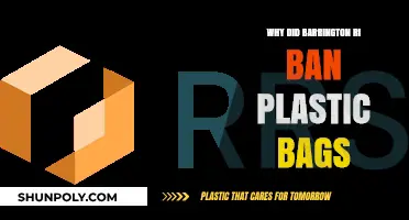 Barrington RI Bans Plastic Bags: Environmental Impact and Community Action