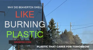 Beaverton's Burning Plastic Smell: What Caused It?