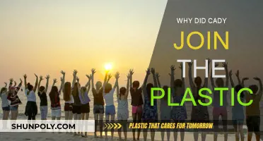 Cady's Choice: Joining the Plastics Explained