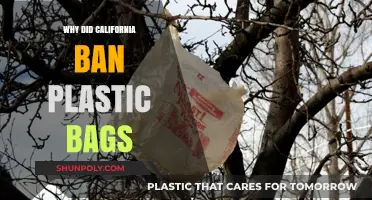 California's Plastic Bag Ban: Environmental Impact and Policy Shift