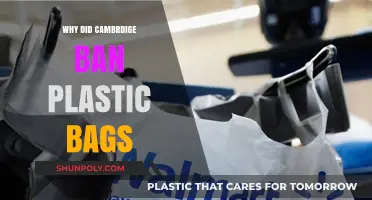 Cambridge's Plastic Bag Ban: Environmental Impact and Sustainable Alternatives
