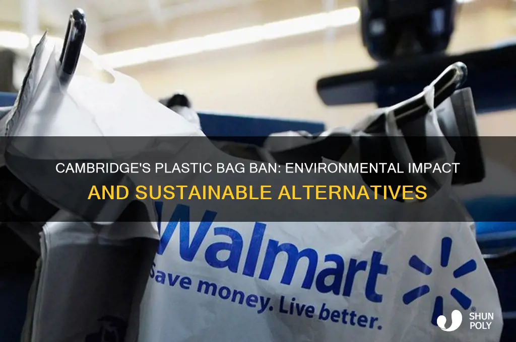 why did cambrdige ban plastic bags